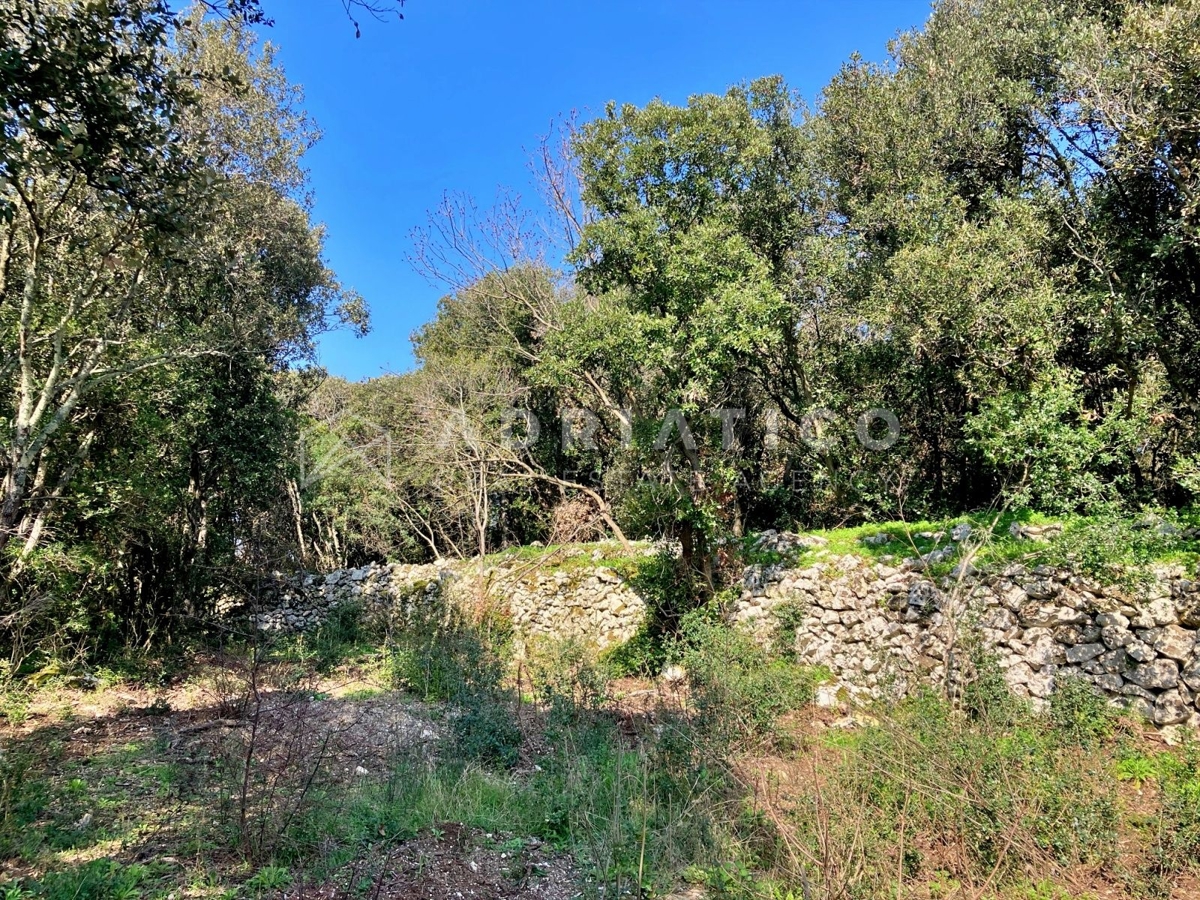 Rovigno, terreno boschivo e agricolo di 11040m2