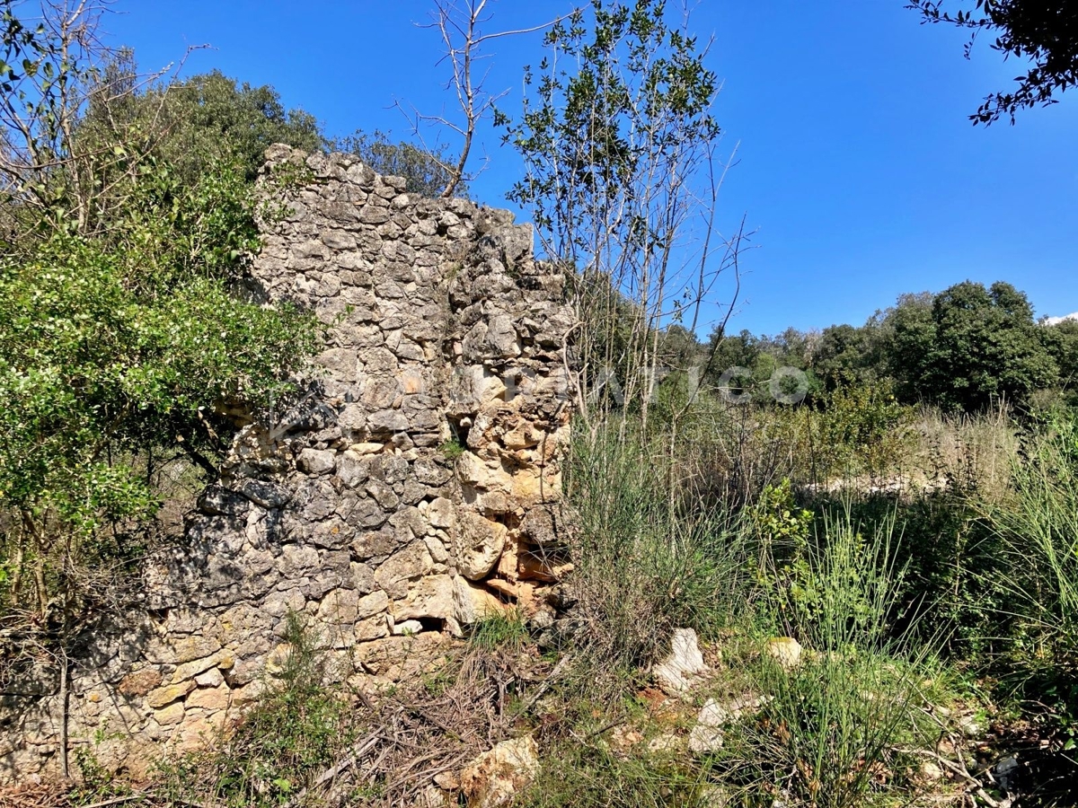 Rovigno, terreno boschivo e agricolo di 11040m2