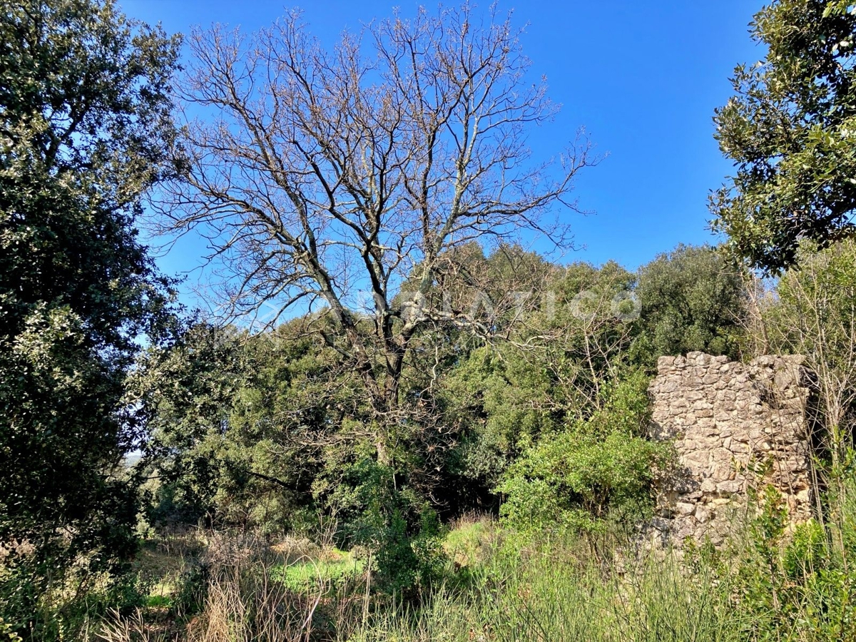 Rovigno, terreno boschivo e agricolo di 11040m2