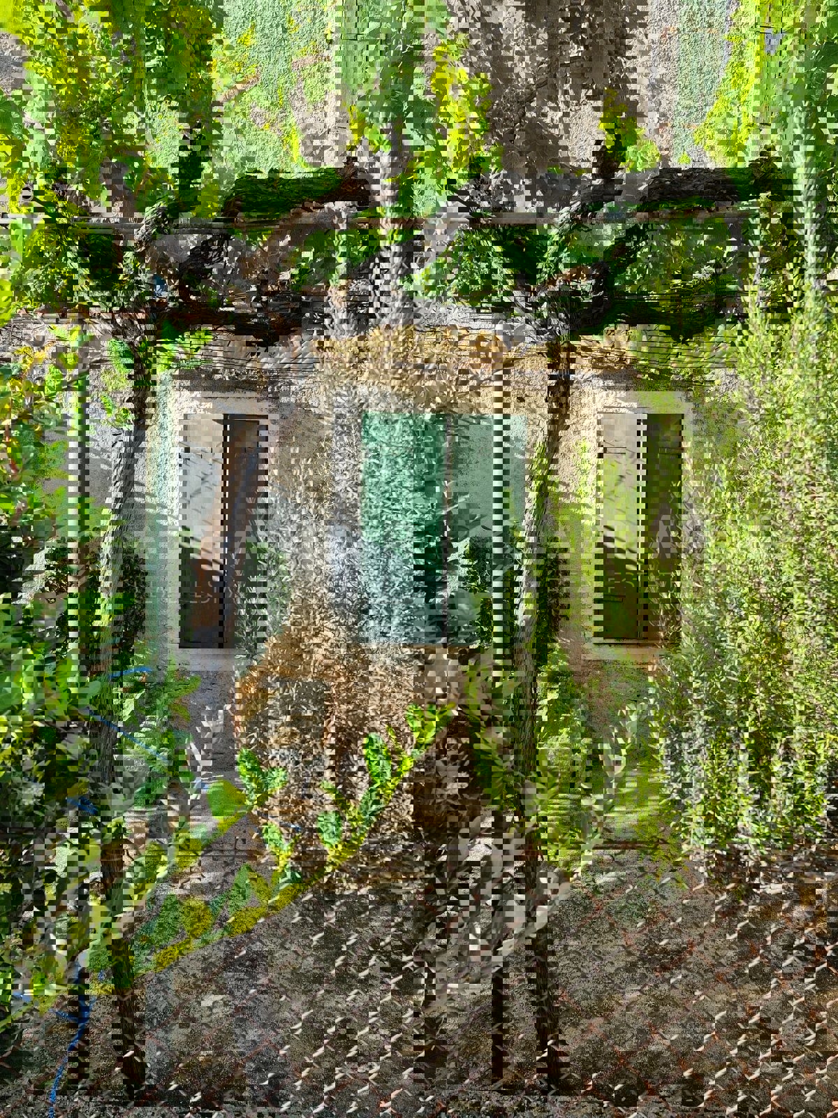 Sošići, casa in pietra d'Istria da ristrutturare