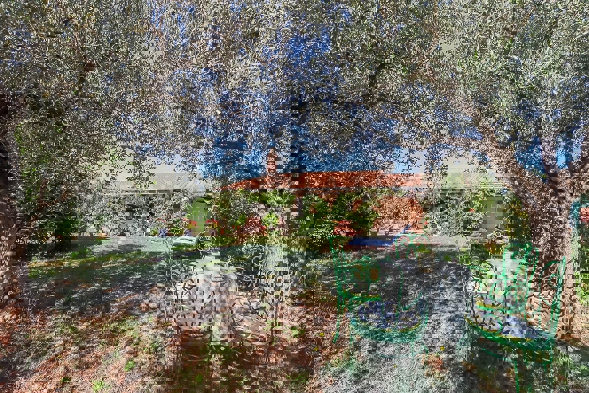 Rovigno, casa a un piano con ampio terreno, a 500 metri dal mare