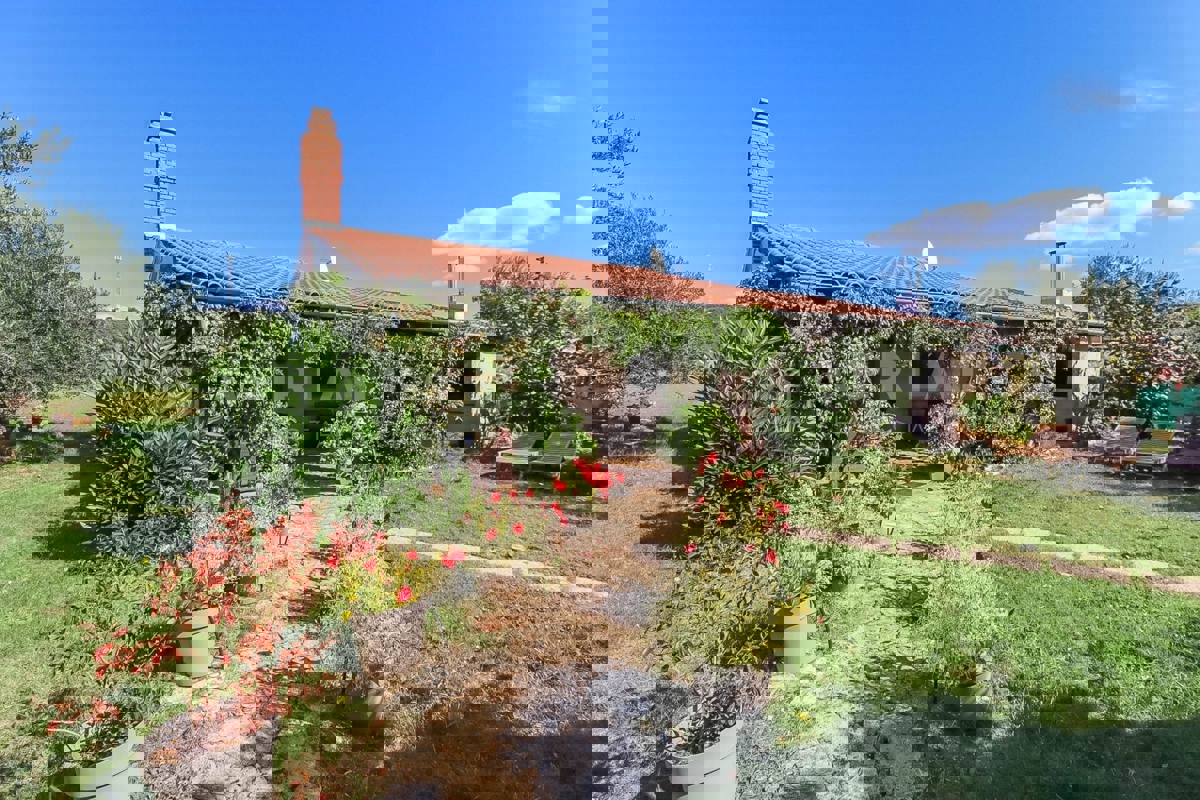 Rovigno, casa a un piano con ampio terreno, a 500 metri dal mare