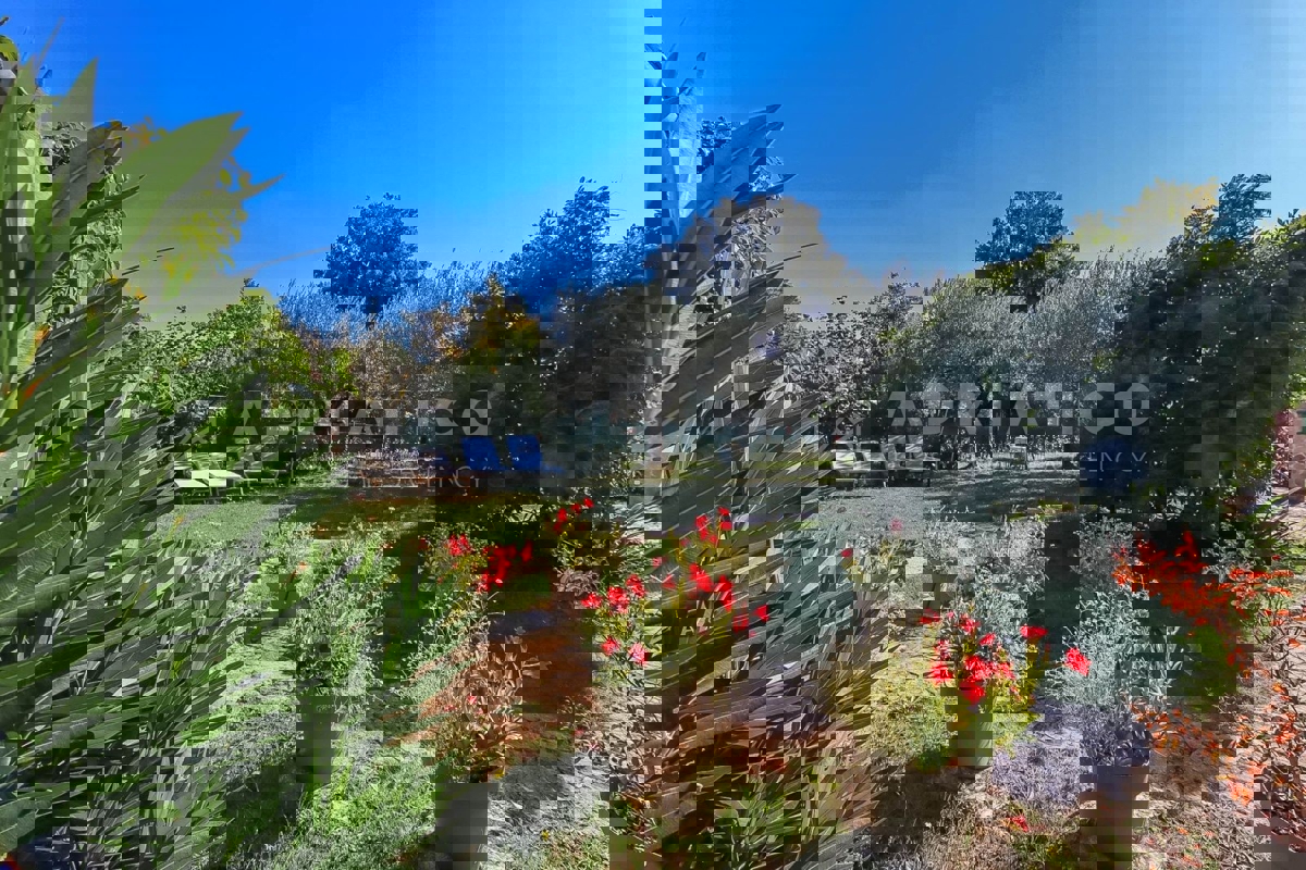 Rovigno, casa a un piano con ampio terreno, a 500 metri dal mare