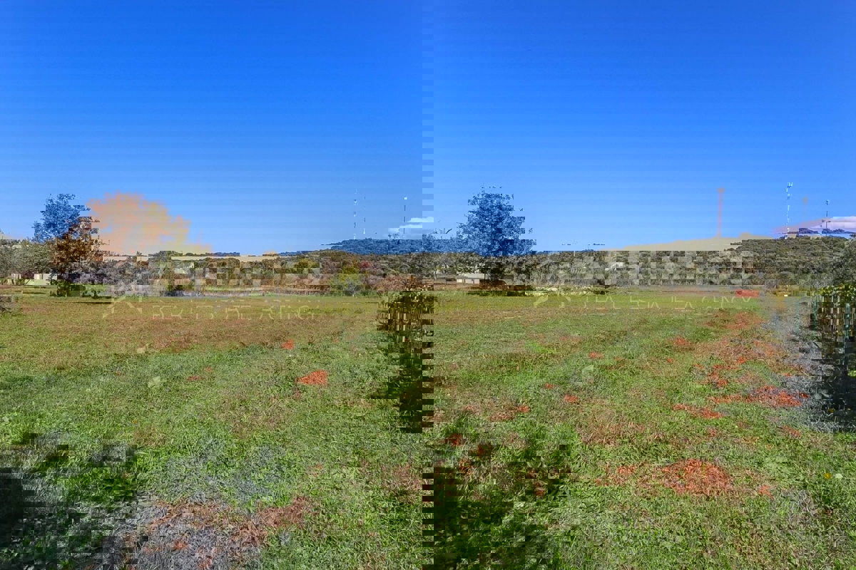 Rovigno, casa a un piano con ampio terreno, a 500 metri dal mare