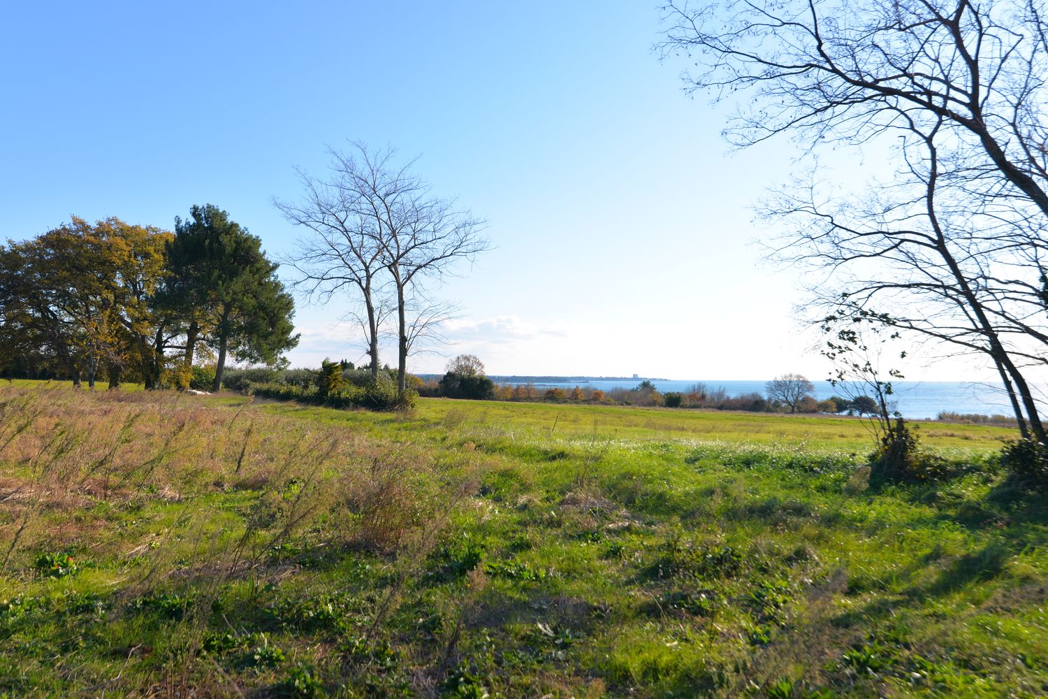 TERRENO - A SCOPO TURISTICO - SUL MARE - CON VISTA MARE