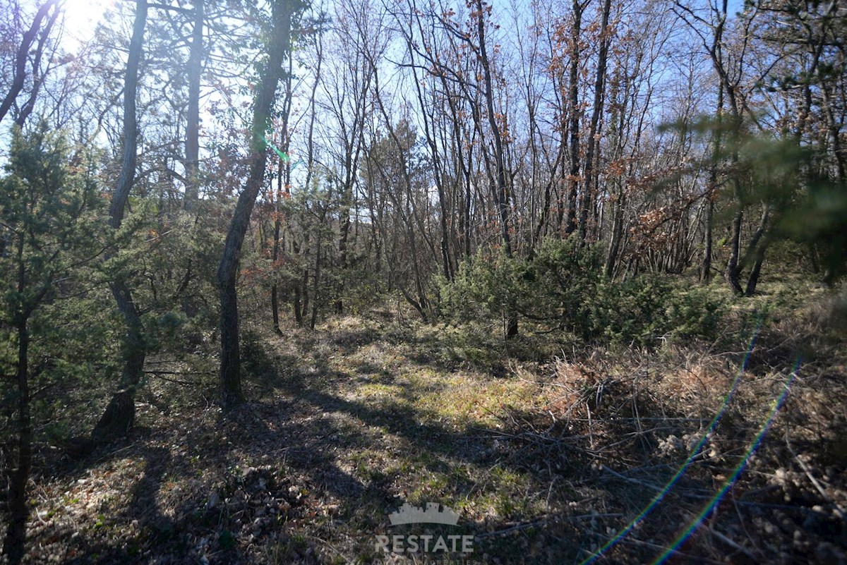 Terreno agricolo con edificabilità familiare legalizzata. Posizione idilliaca in mezzo alla natura, a 6 km dal mare.