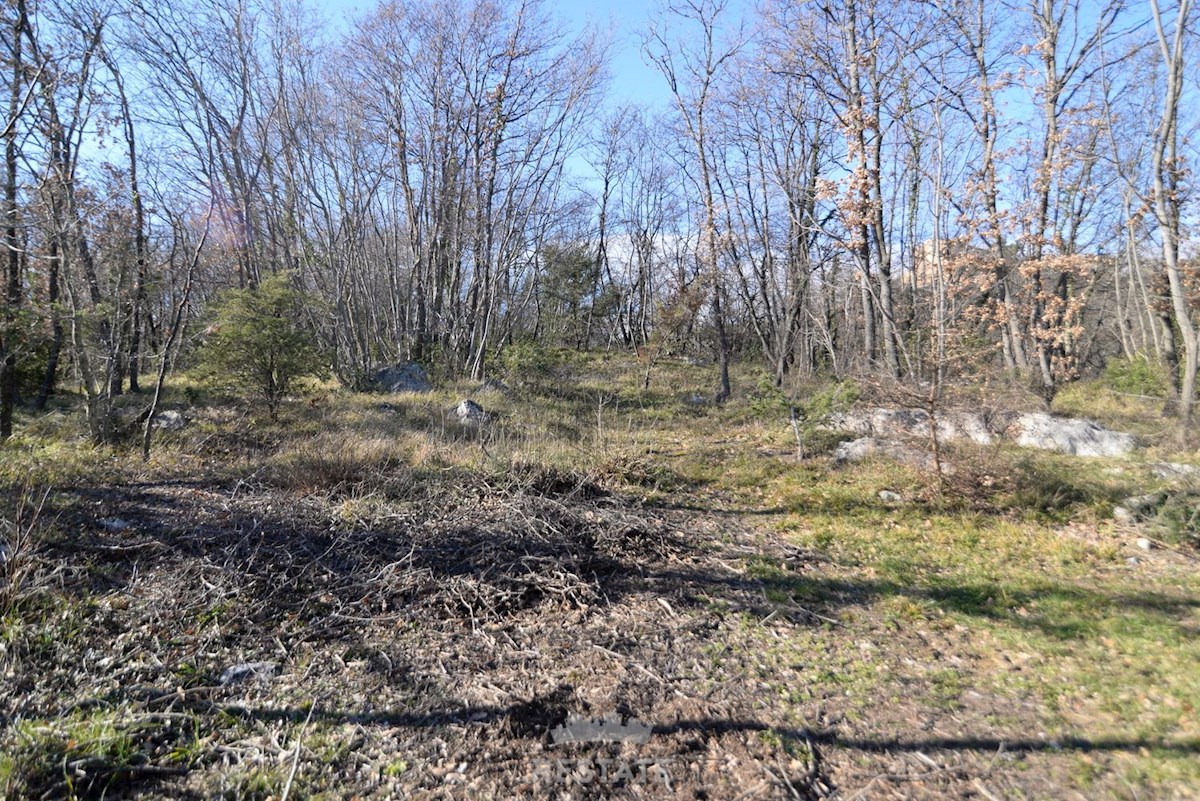 Terreno agricolo con edificabilità familiare legalizzata. Posizione idilliaca in mezzo alla natura, a 6 km dal mare.