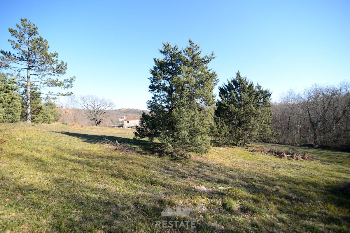 Terreno agricolo con edificabilità familiare legalizzata. Posizione idilliaca in mezzo alla natura, a 6 km dal mare.
