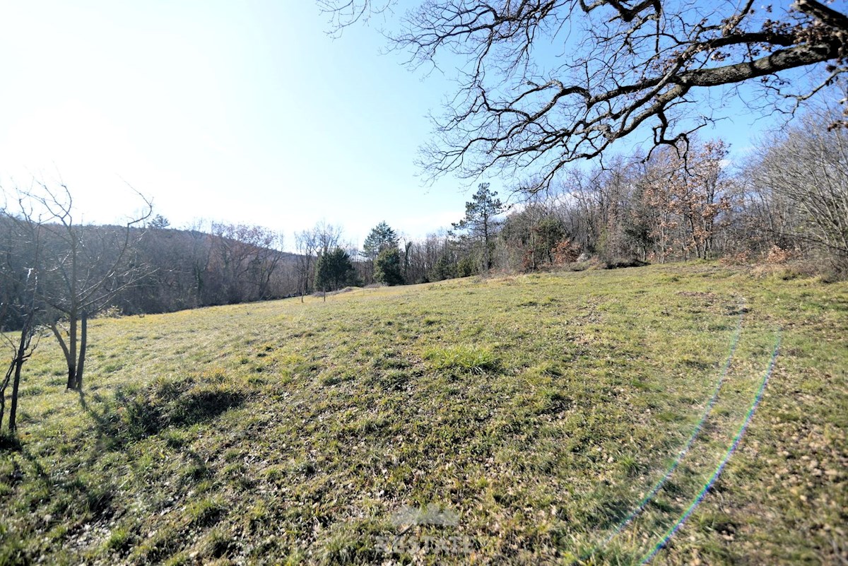 Terreno agricolo con edificabilità familiare legalizzata. Posizione idilliaca in mezzo alla natura, a 6 km dal mare.