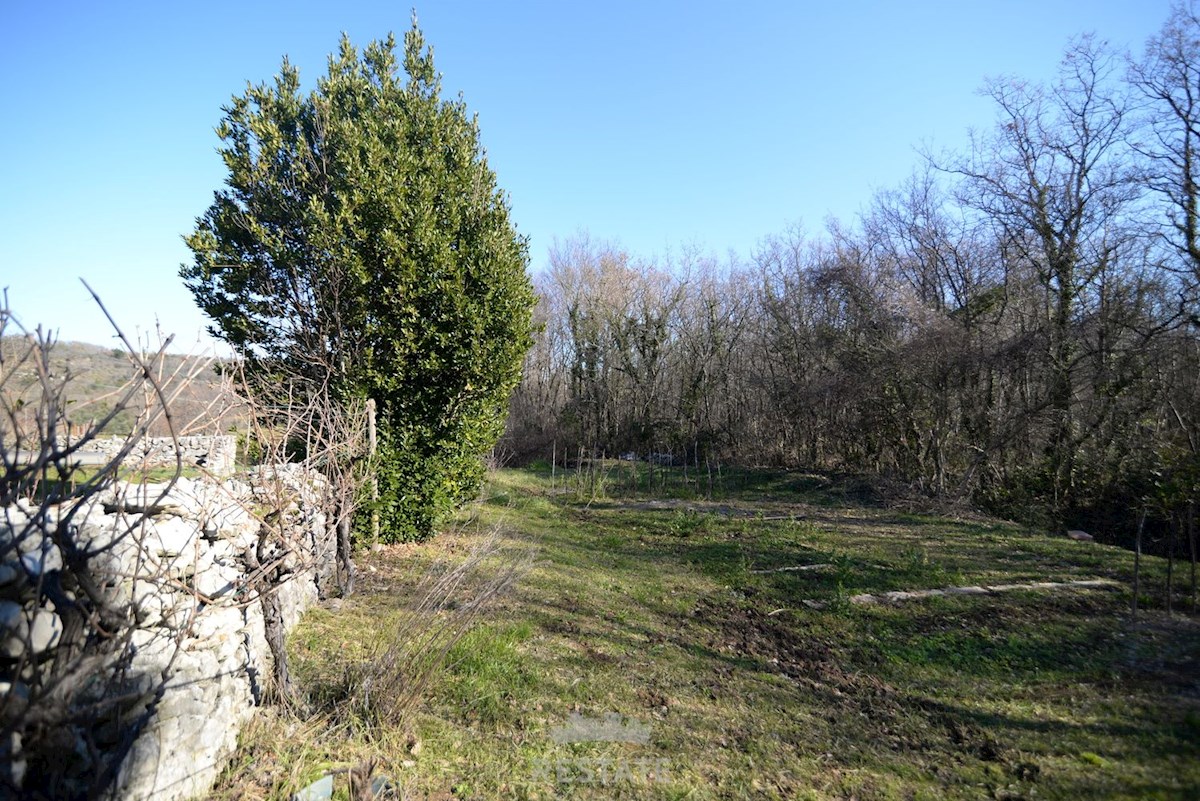 Terreno agricolo con edificabilità familiare legalizzata. Posizione idilliaca in mezzo alla natura, a 6 km dal mare.