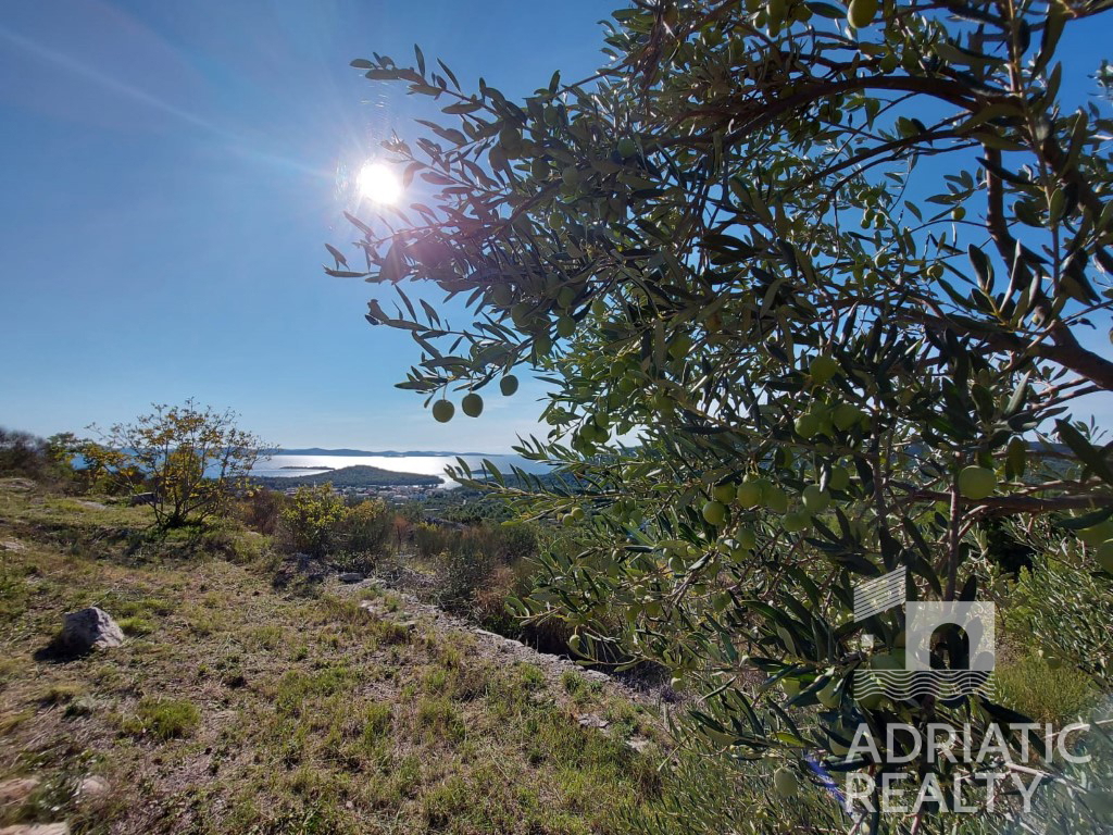 Tribunj, terreno agricolo con una vista splendida sul mare, opportunità unica