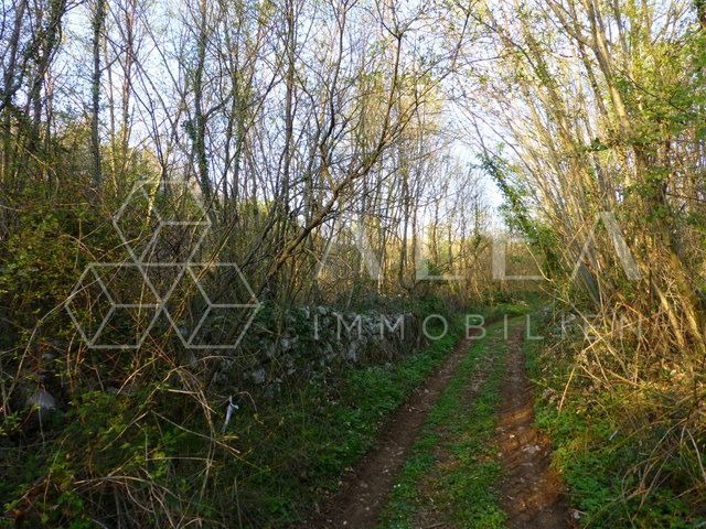 Terreno edificabile, 4350m2, con vista sul centro storico di Labin