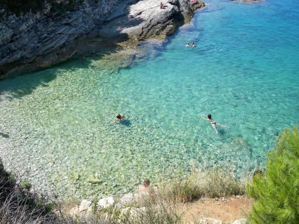 Casa con 4 appartamenti e la piscina a Premontore!