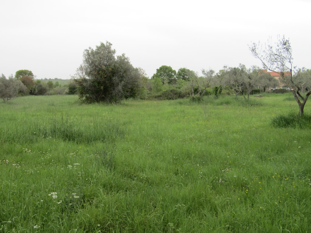 Il terreno agriciolo a Peroi