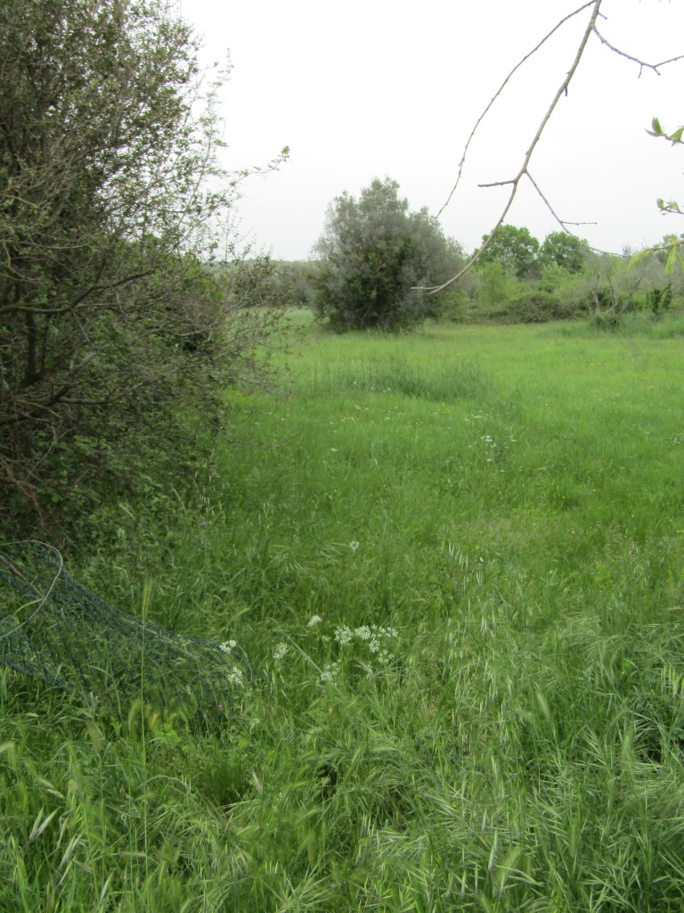 Il terreno agriciolo a Peroi