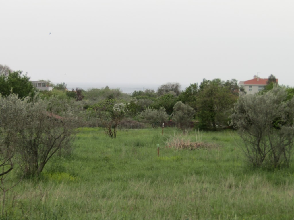 Il terreno agriciolo a Peroi