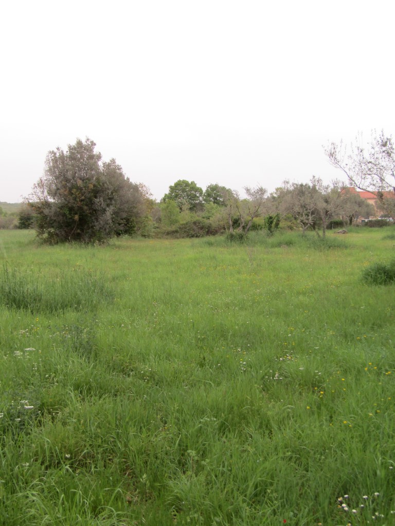 Il terreno agriciolo a Peroi