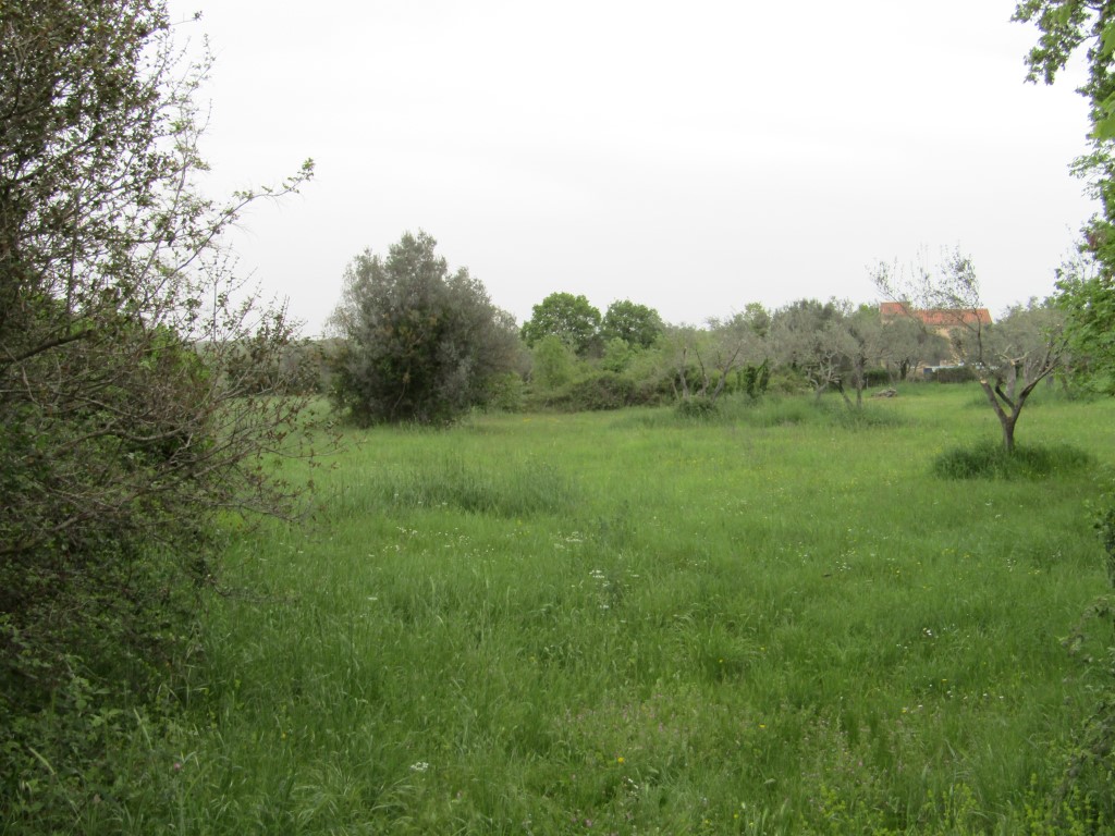 Il terreno agriciolo a Peroi