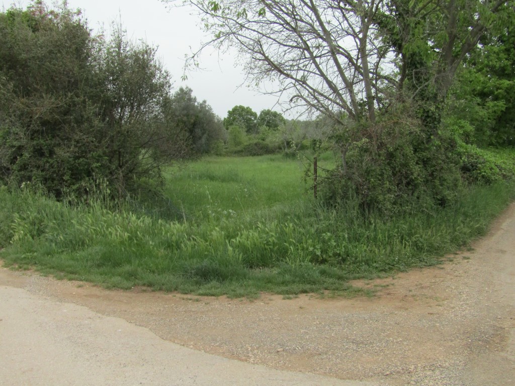 Il terreno agriciolo a Peroi