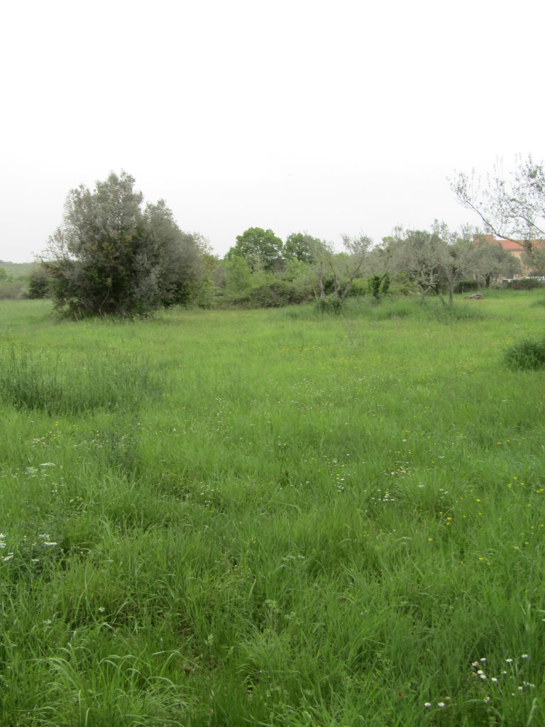 Il terreno agriciolo a Peroi