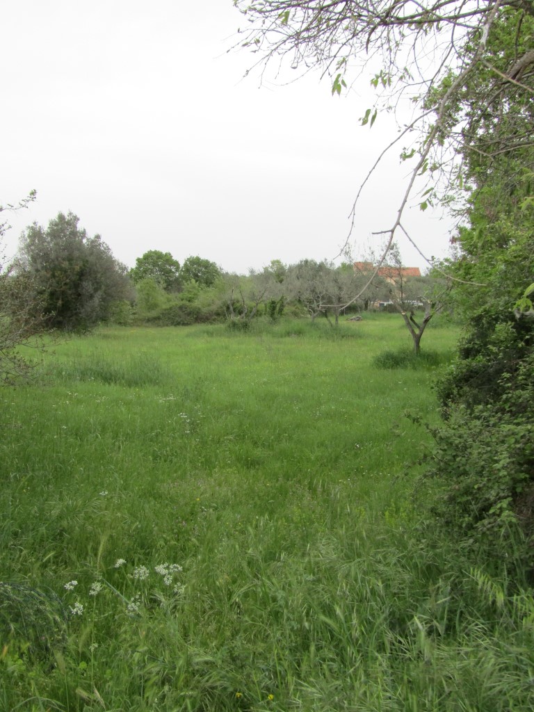 Il terreno agriciolo a Peroi