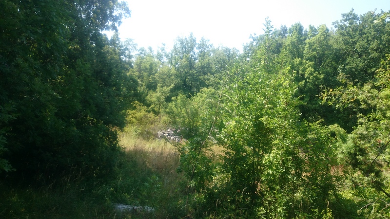 Terreno agricolo Labin