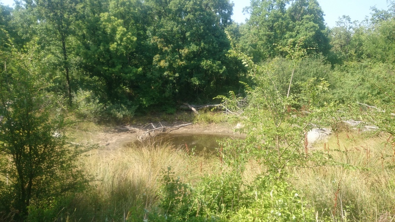 Terreno agricolo Labin