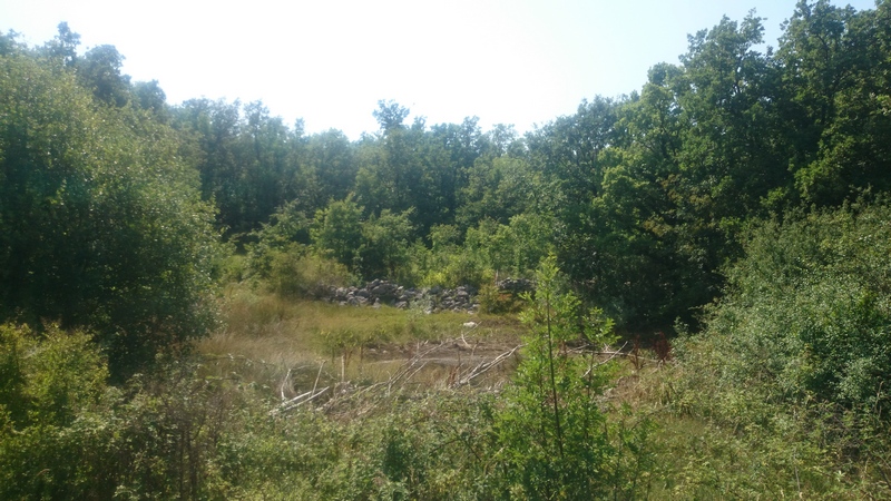 Terreno agricolo Labin