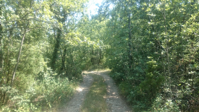 Terreno agricolo Labin