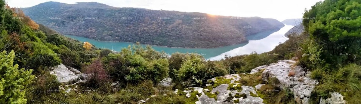 Terreno agricolo in vendita, Sveti Lovreč