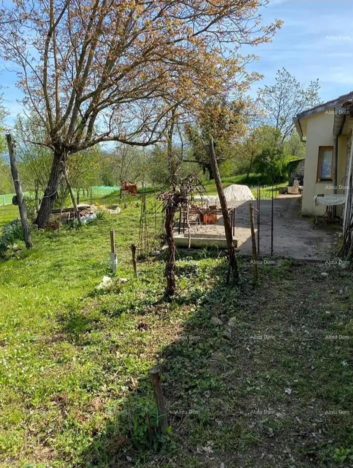 Vendiamo la casa e la taverna,  Pisino!