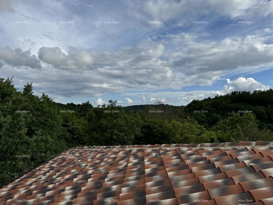 La bellissima proprietà in vendita è circondata da foreste e vigneti, con vista su Gračišće e Učka!