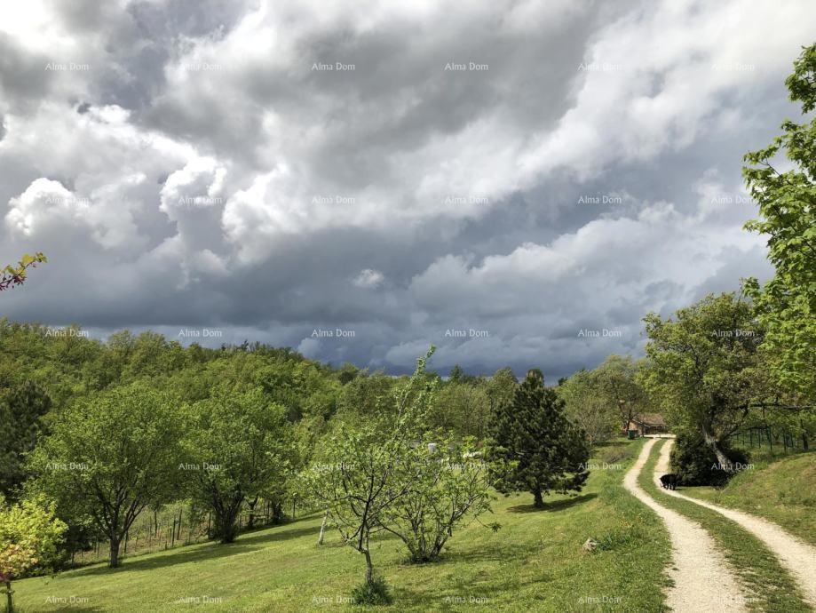 La bellissima proprietà in vendita è circondata da foreste e vigneti, con vista su Gračišće e Učka!