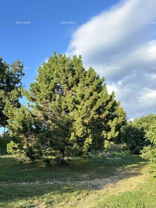 La bellissima proprietà in vendita è circondata da foreste e vigneti, con vista su Gračišće e Učka!