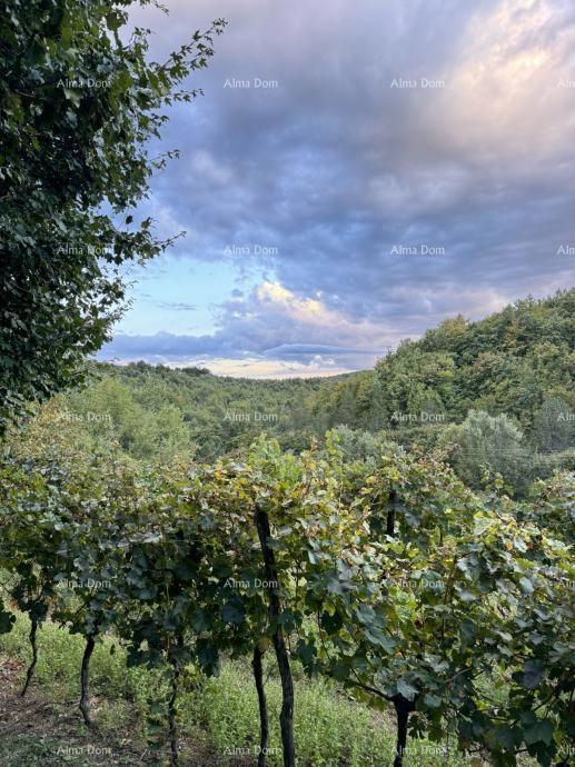 La bellissima proprietà in vendita è circondata da foreste e vigneti, con vista su Gračišće e Učka!