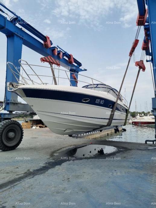 Locale commerciale Novigrad