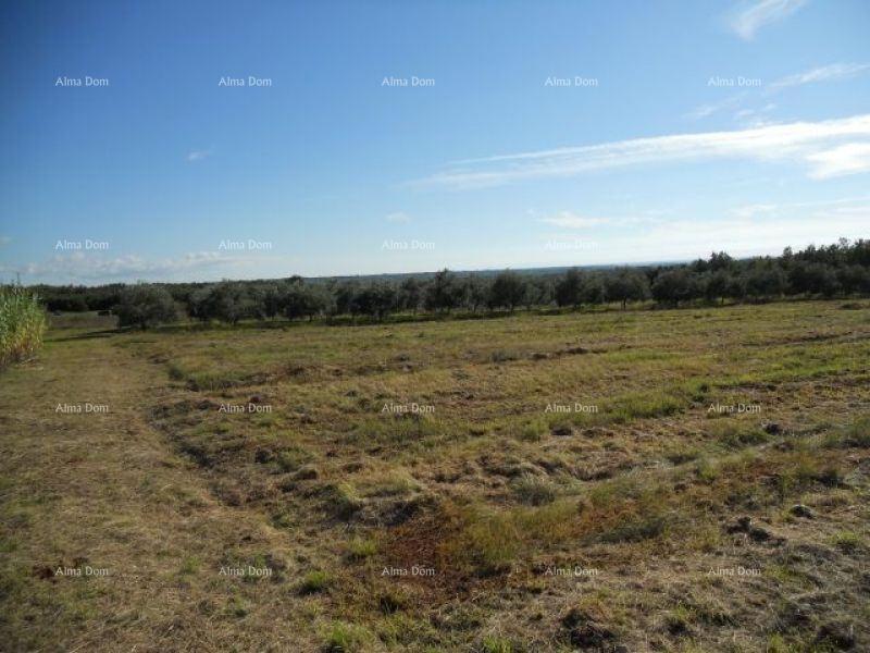 Vendiamo terreno a 3 km dal mare.