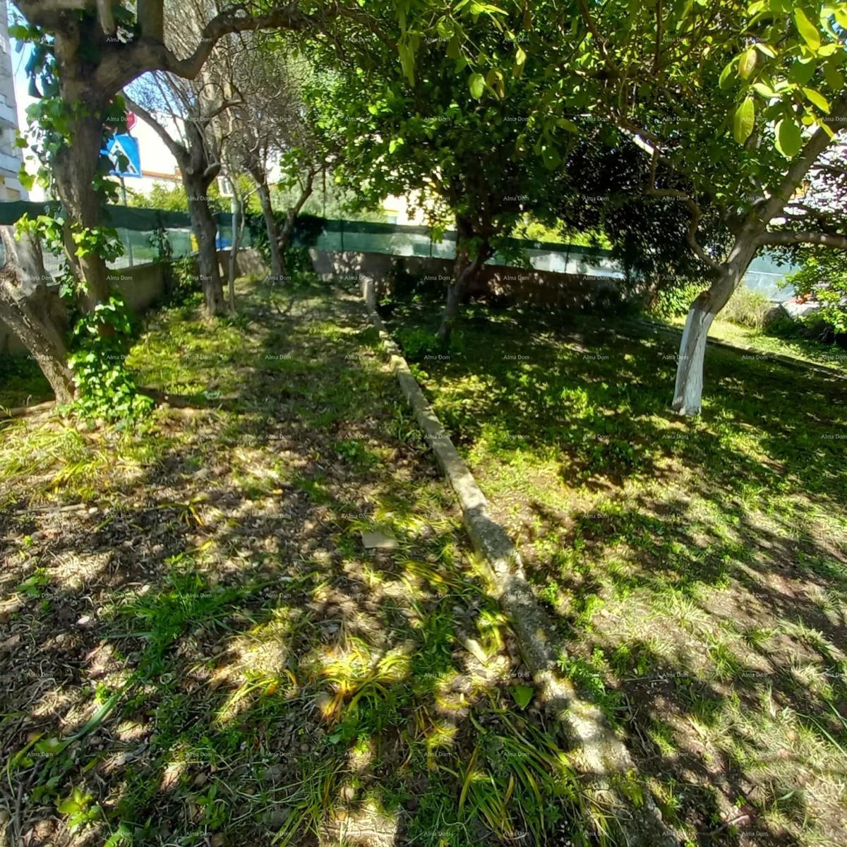 Pula! Appartamento con grande giardino e terrazza.