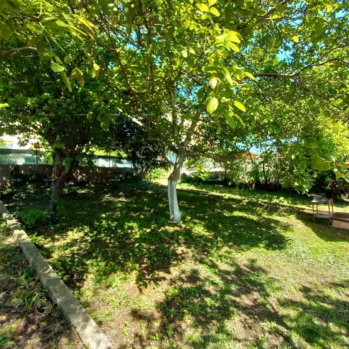 Pula! Appartamento con grande giardino e terrazza.