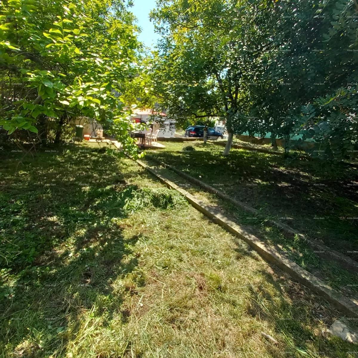 Pula! Appartamento con grande giardino e terrazza.