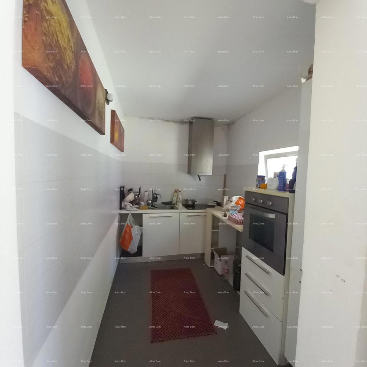 Pula! Appartamento con grande giardino e terrazza.