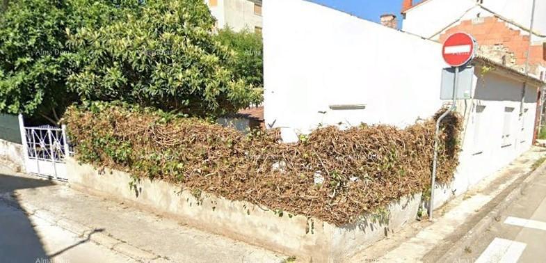 Pula! Appartamento con grande giardino e terrazza.