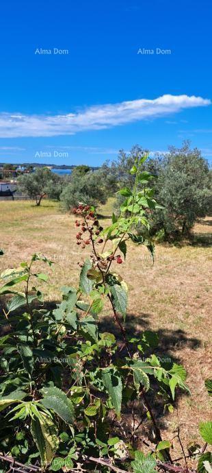 Fažana – terreni agricoli vicino al mare