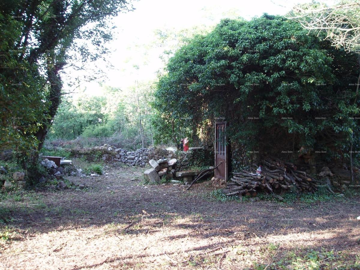 MARČANA – Casa/rovina con grande appezzamento