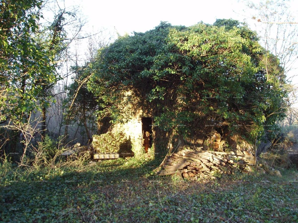 MARČANA – Casa/rovina con grande appezzamento