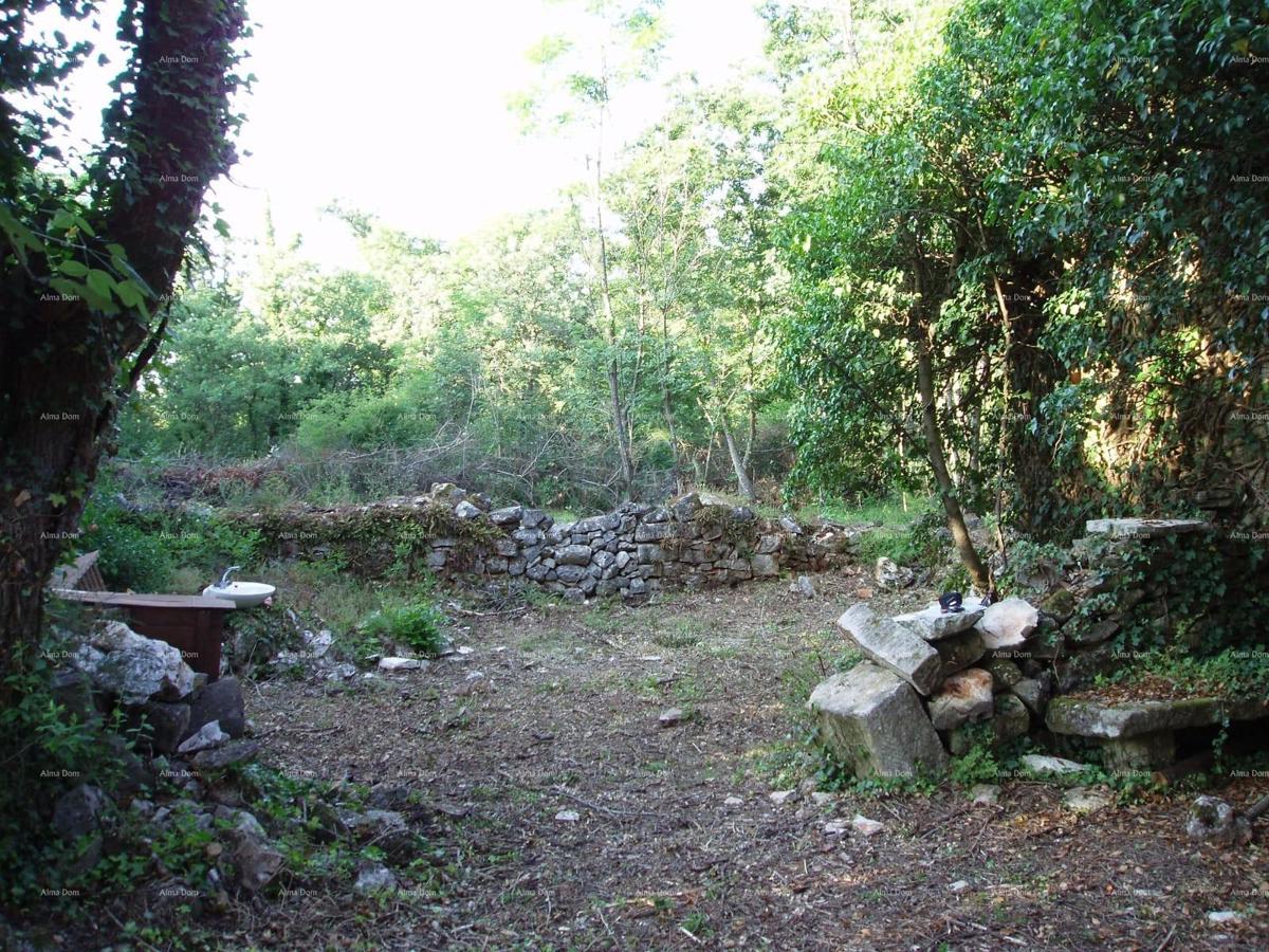 MARČANA – Casa/rovina con grande appezzamento