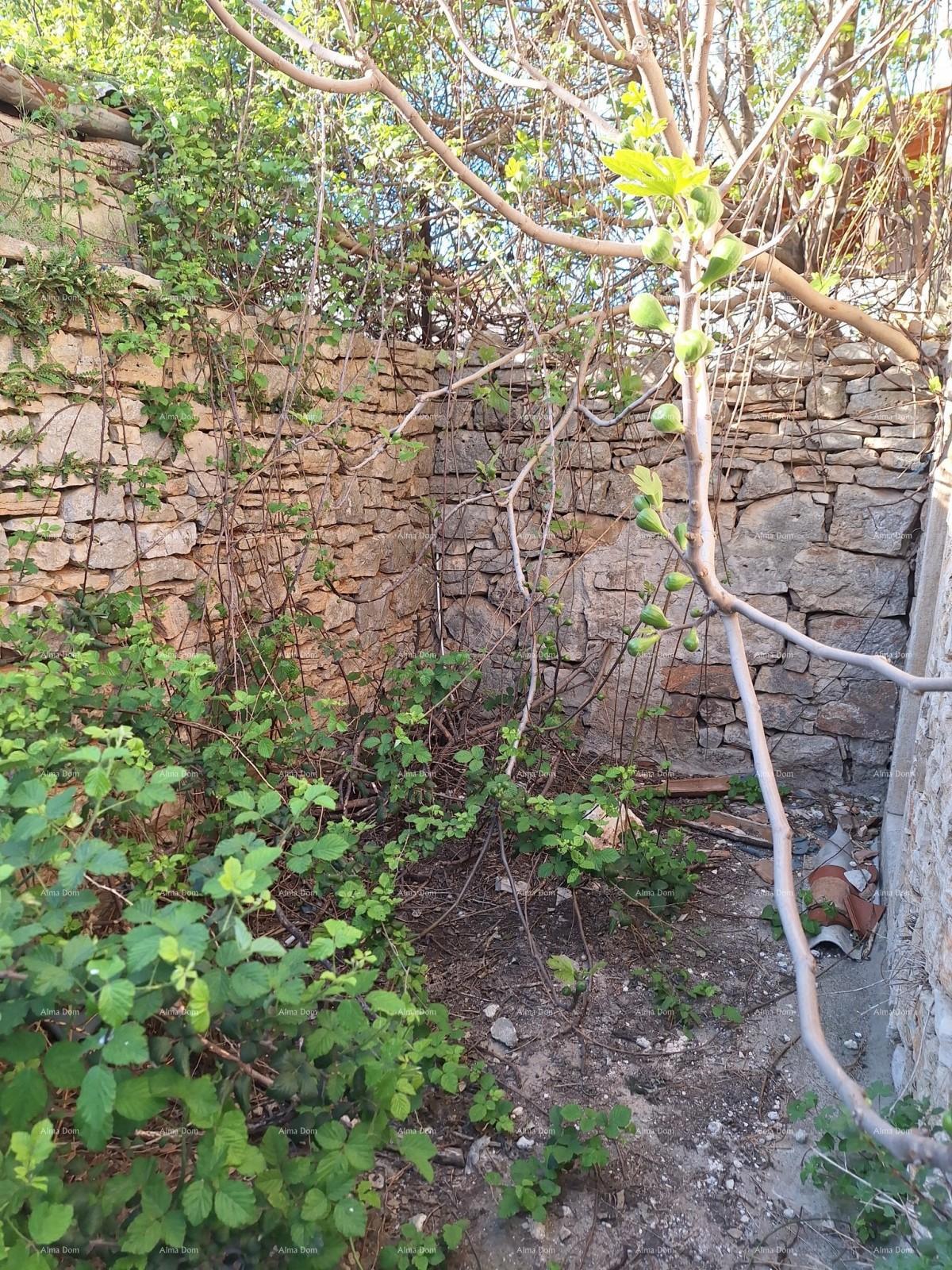 In vendita: Autentica casa in pietra con giardino – Vodnjan.