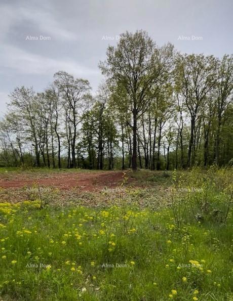 In vendita terreno edificabile con progetto – Barban (1.010 m²)