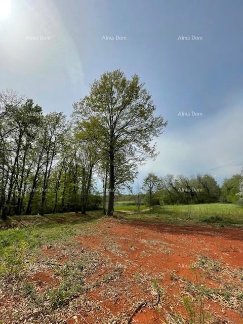 In vendita terreno edificabile con progetto – Barban (1.010 m²)