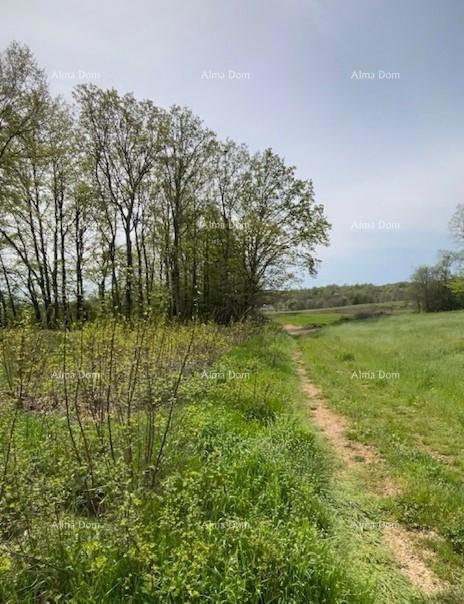 In vendita terreno edificabile con progetto – Barban (1.010 m²)